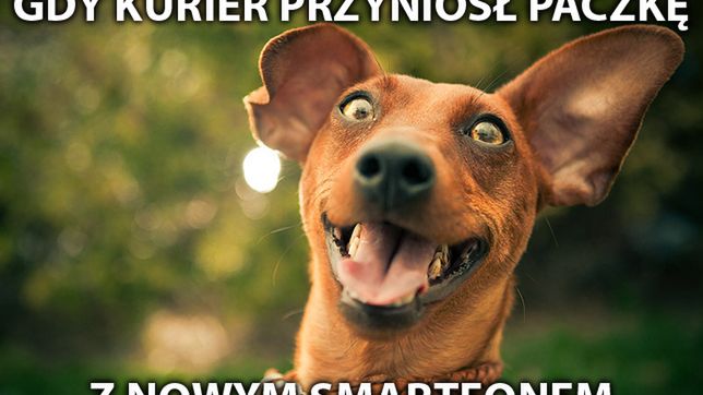 12 GIF-ów pokazujących codzienność czytelnika Komórkomanii 1