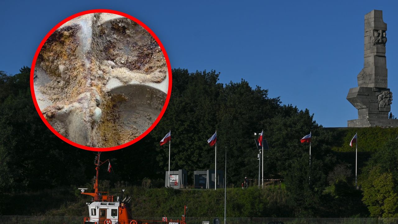 "Heroiczny" moździerz. To znaleźli na Westerplatte