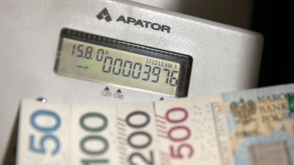 Serwis Rachuneo sprawdził, jak od sierpnia 2021 r. do sierpnia 2022 r. zmieniły się ceny prądu dla małych firm 