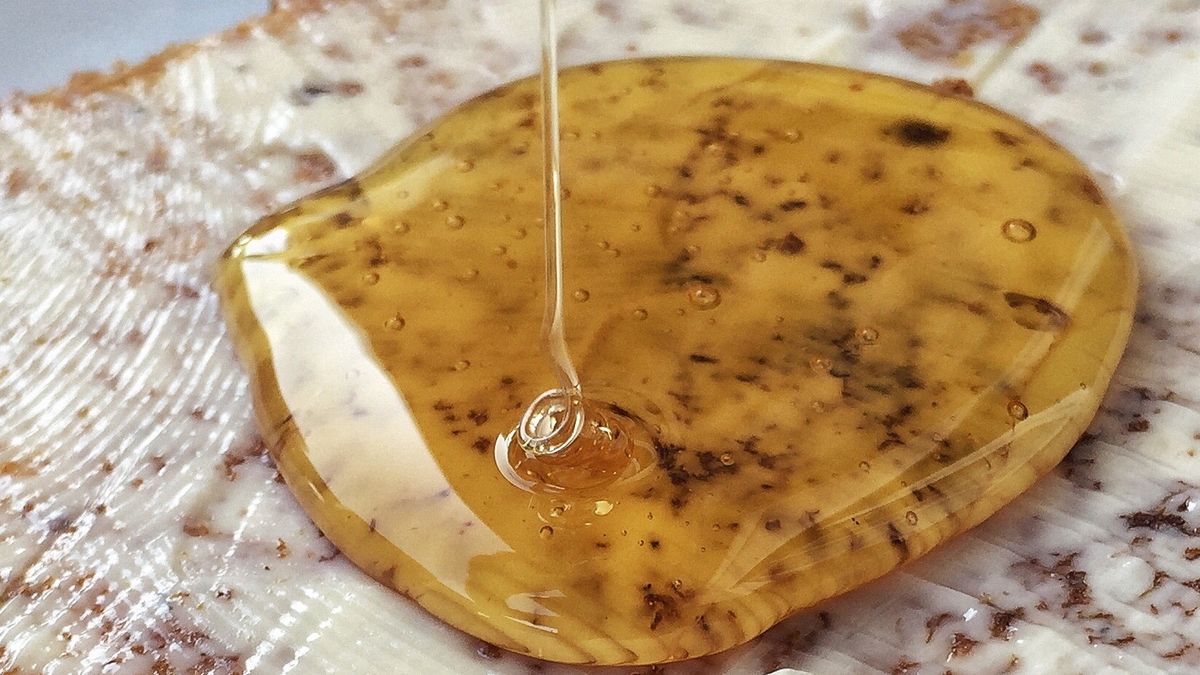 Nie każdy powinien spożywać miód