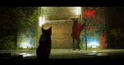 Stray. Kot w stanie czystym* [RECENZJA]
