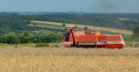 Zboże z Ukrainy trafia do Polski. Są najnowsze dane