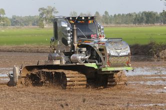 Kryzys na polach ryżu. Miliony mogą odczuć skutki