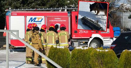 Rakieta Muska rozsypała się nad Polską. Znaleziono już trzy części