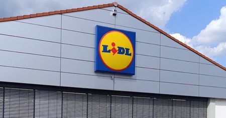 1,99 zł w Lidlu. Aż 60 proc. taniej przy zakupie 3 sztuk