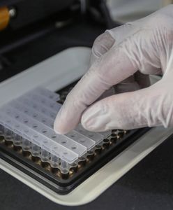 Koronawirus. Pierwsza "czerwona strefa" na Mazowszu - powiat lipski. Wołomin i Otwock na liście ostrzegawczej