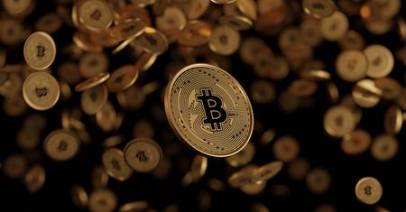 BitBay zmienia się w Zondę. Interesuje się nią amerykański inwestor