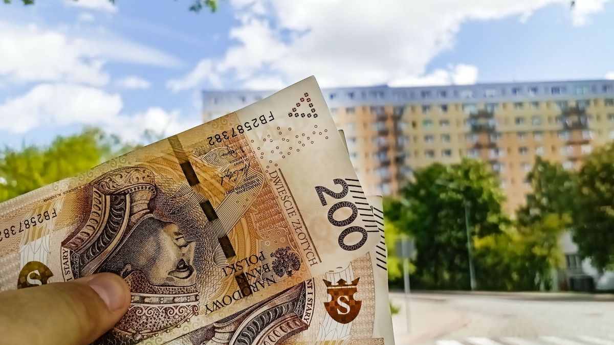 Reporter archiwum 2025 10
Artur Szczepanski/REPORTER