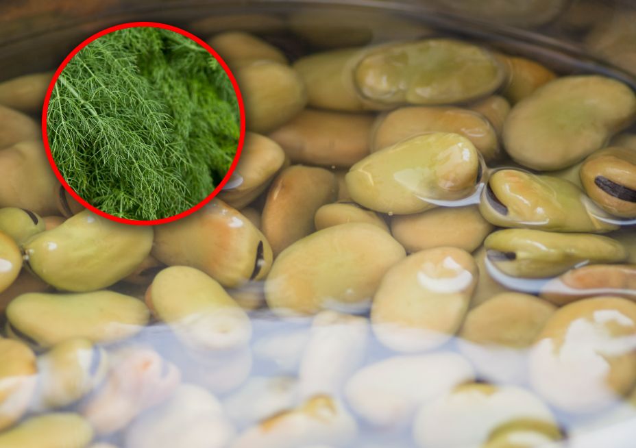 Ile kalorii ma gotowany bób? Będziesz zaskoczony