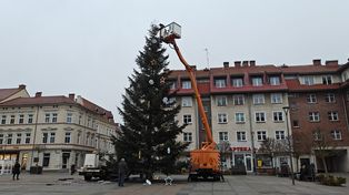 Szczecinek: Trwa montaż ozdób na jodle, która stanęła w centrum