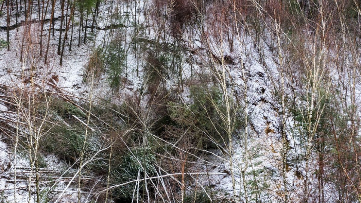 Zapadlisko powstało pod Olkuszem.