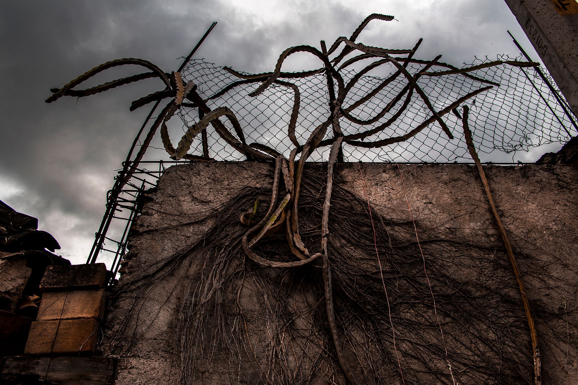 World Press Photo 2019 – znamy nominowanych fotografów 86