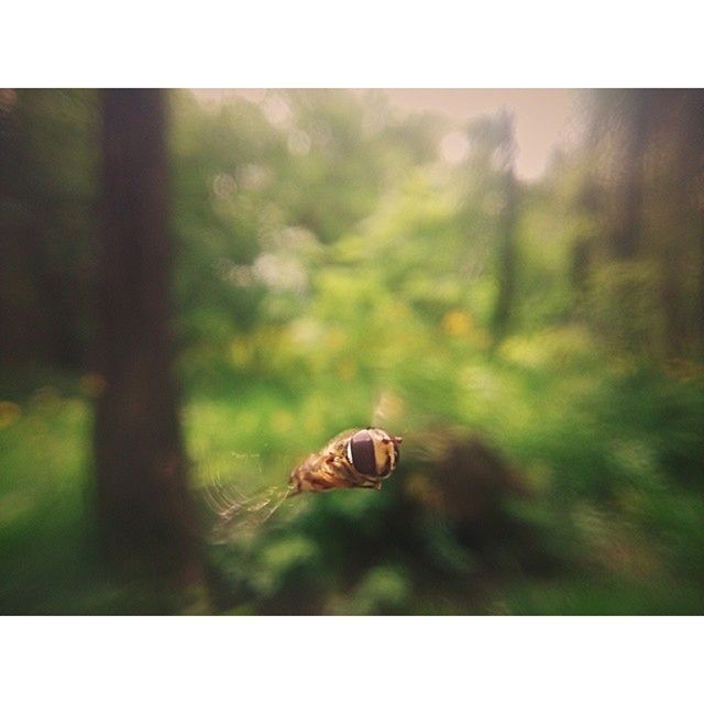 Zobaczcie jakie zdjęcia można zrobić smartfonem. Galeria nagrodzonych prac 7