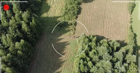 7-latek zaginął w górach. Nagranie z akcji ratunkowej GOPR