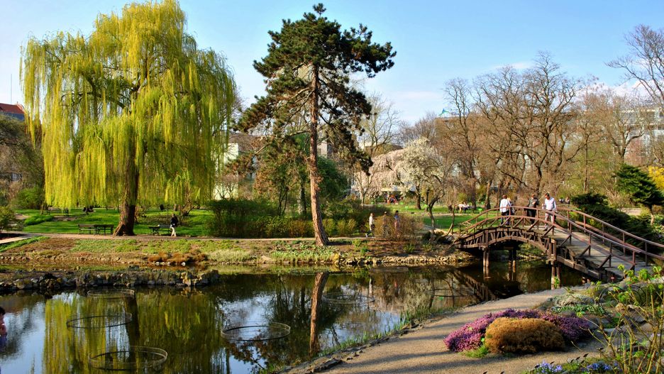 Do odkrycia doszło w czasie prac na terenie wrocławskiego ogrodu