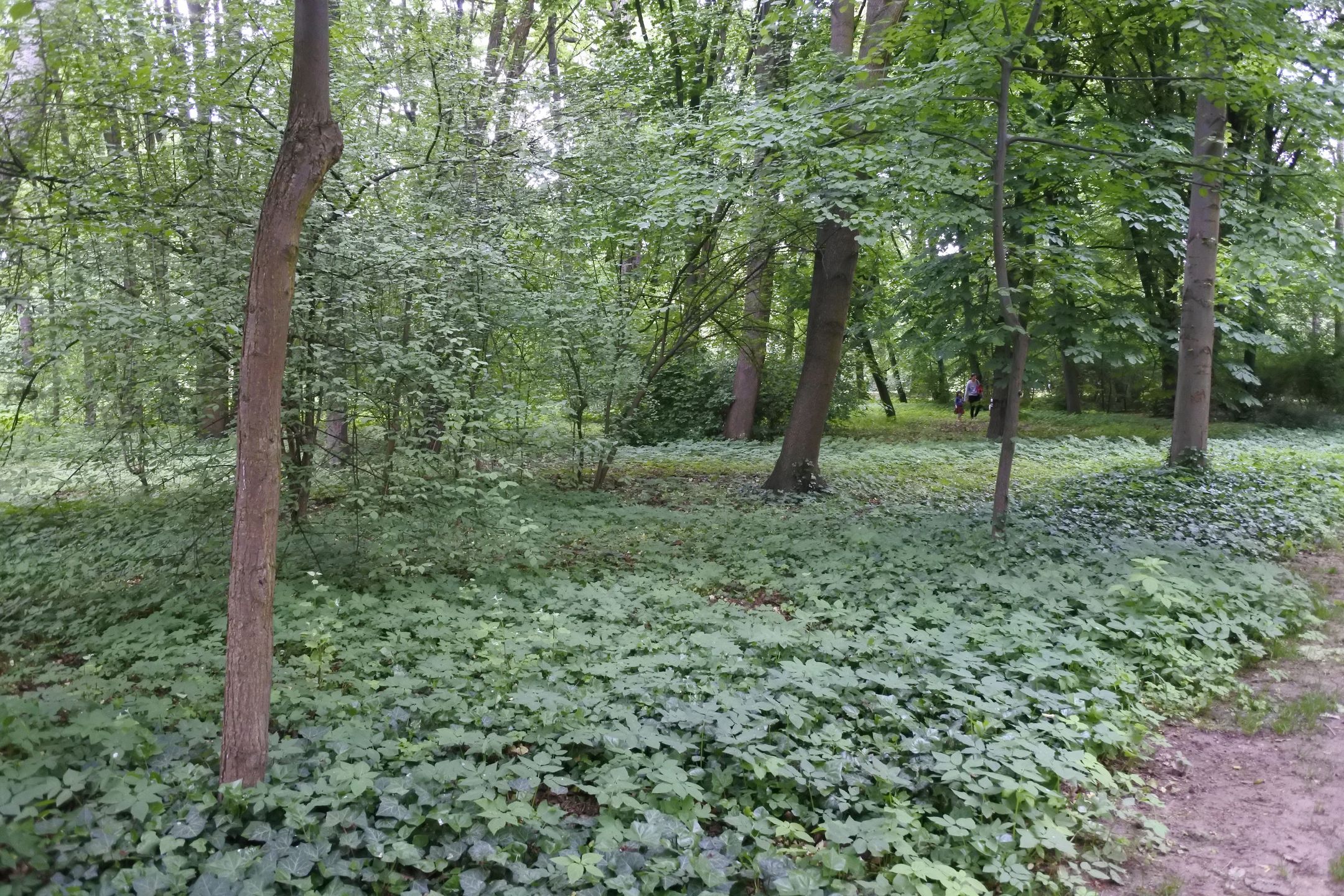 Nowy bezlusterkowiec do 2000 zł - na które aparaty warto zwrócić uwagę? 131