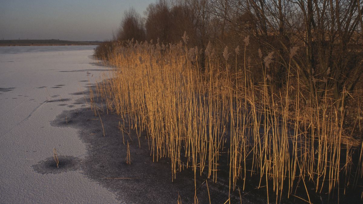 Jeziora powoli zamarzają. MOPR ostrzega