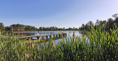 Wrocław. Weekend nad Stawami Milickimi? Koleje Dolnośląskie przygotowały nowe bilety