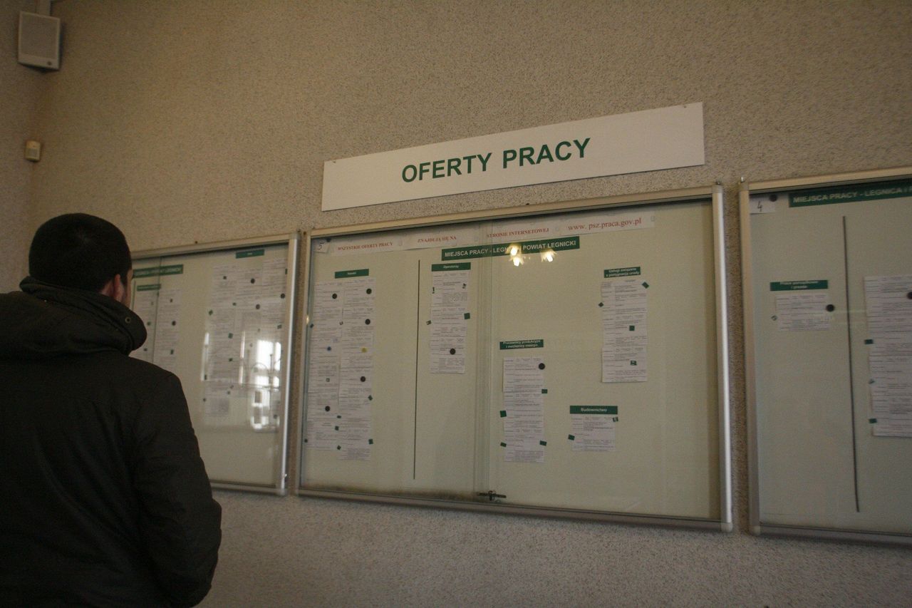 Wrocław: Praca dla seniorów i emerytów. Sprawdziliśmy oferty pracy i zarobki, na jakie mogą liczyć