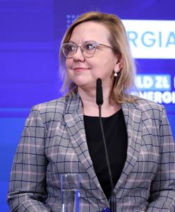 Rząd mógł wydać "nawet 100 mld zł" na walkę z kryzysem. "Czas zakończyć populistyczny wyścig"