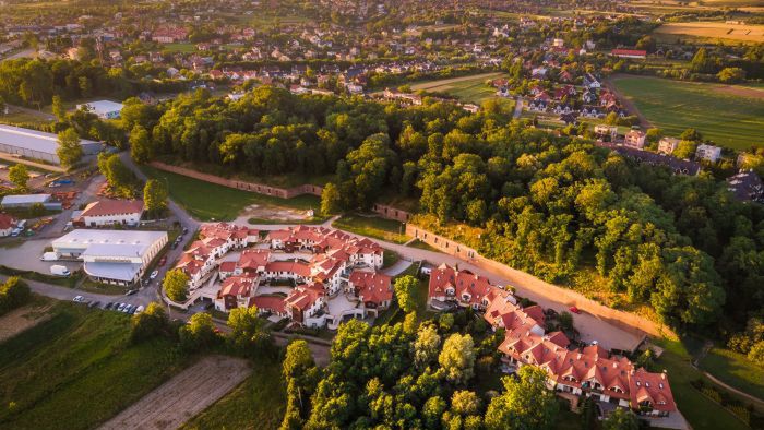 Zielonki/ ilustracja