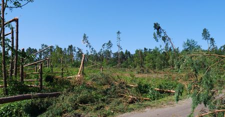 Liczą straty po nawałnicy. Ogrom zniszczeń pod Sycowem
