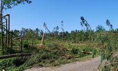 Liczą straty po nawałnicy. Ogrom zniszczeń pod Sycowem