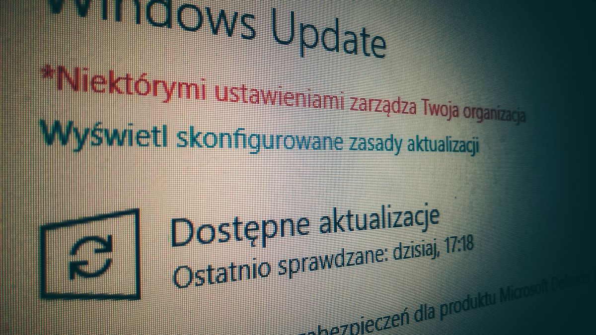 Microsoft Office: dlaczego aktualizacje są takie duże?