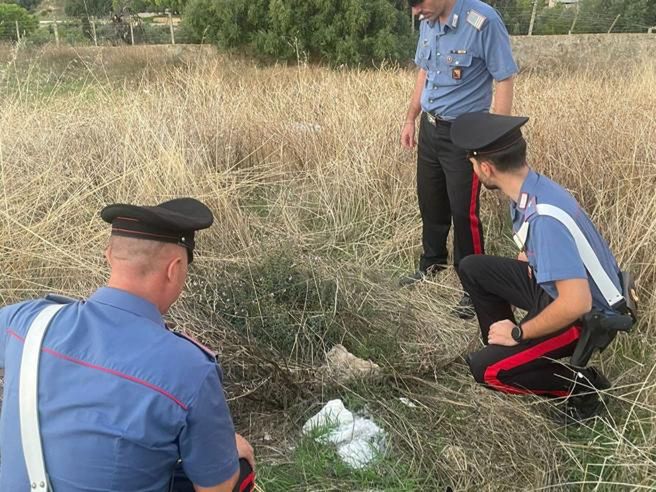 Noworodek porzucony w plastikowej torbie. "Dzieci proszą, bym zabrał go do domu"