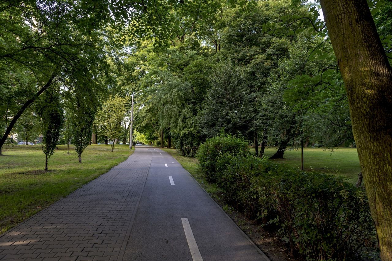 Bytom. Nowe oświetlenie, ma być bezpieczniej i taniej