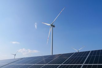 Impact'21. Jak przyspieszyć zieloną transformację?