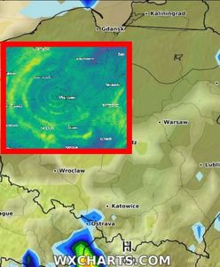 Tajemnicze kręgi nad Polską. Jest ich coraz więcej