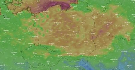 Gdzie będzie wichura? Sprawdź, by nie dać się zaskoczyć