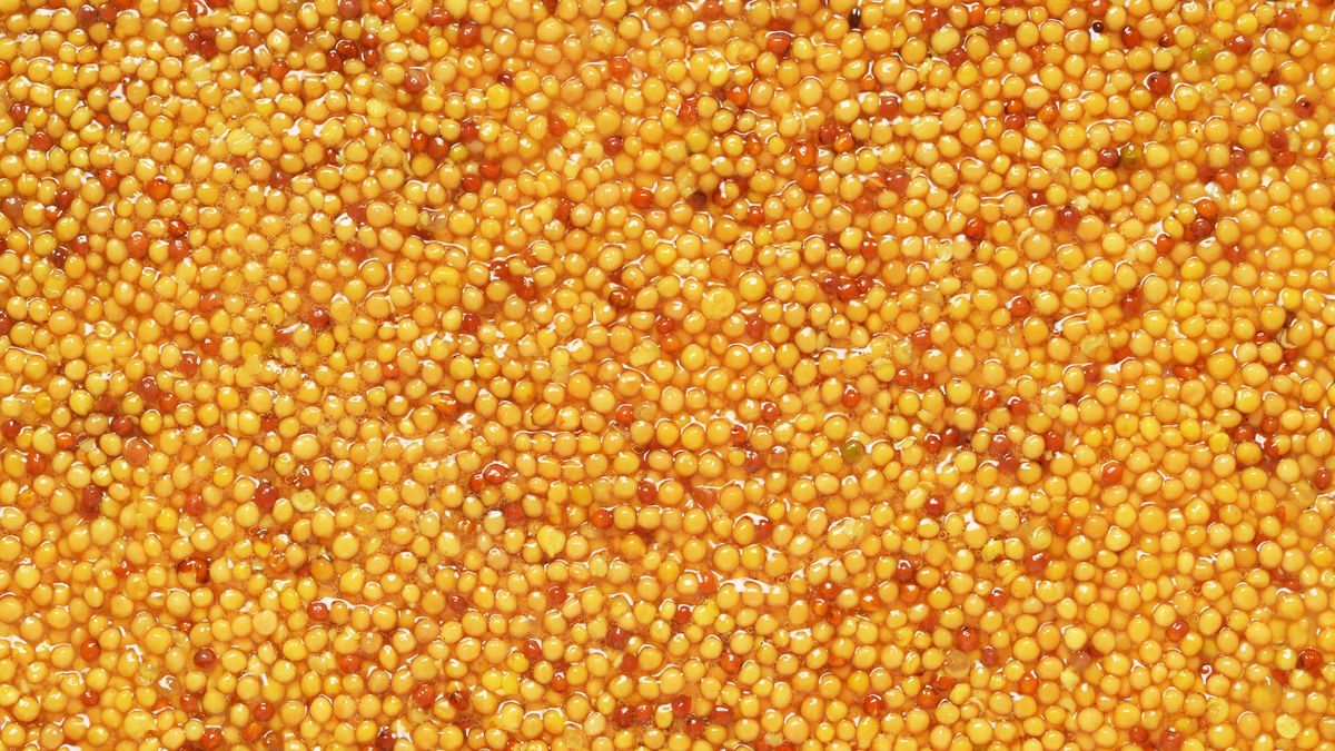 Jakie właściwości ma musztarda?