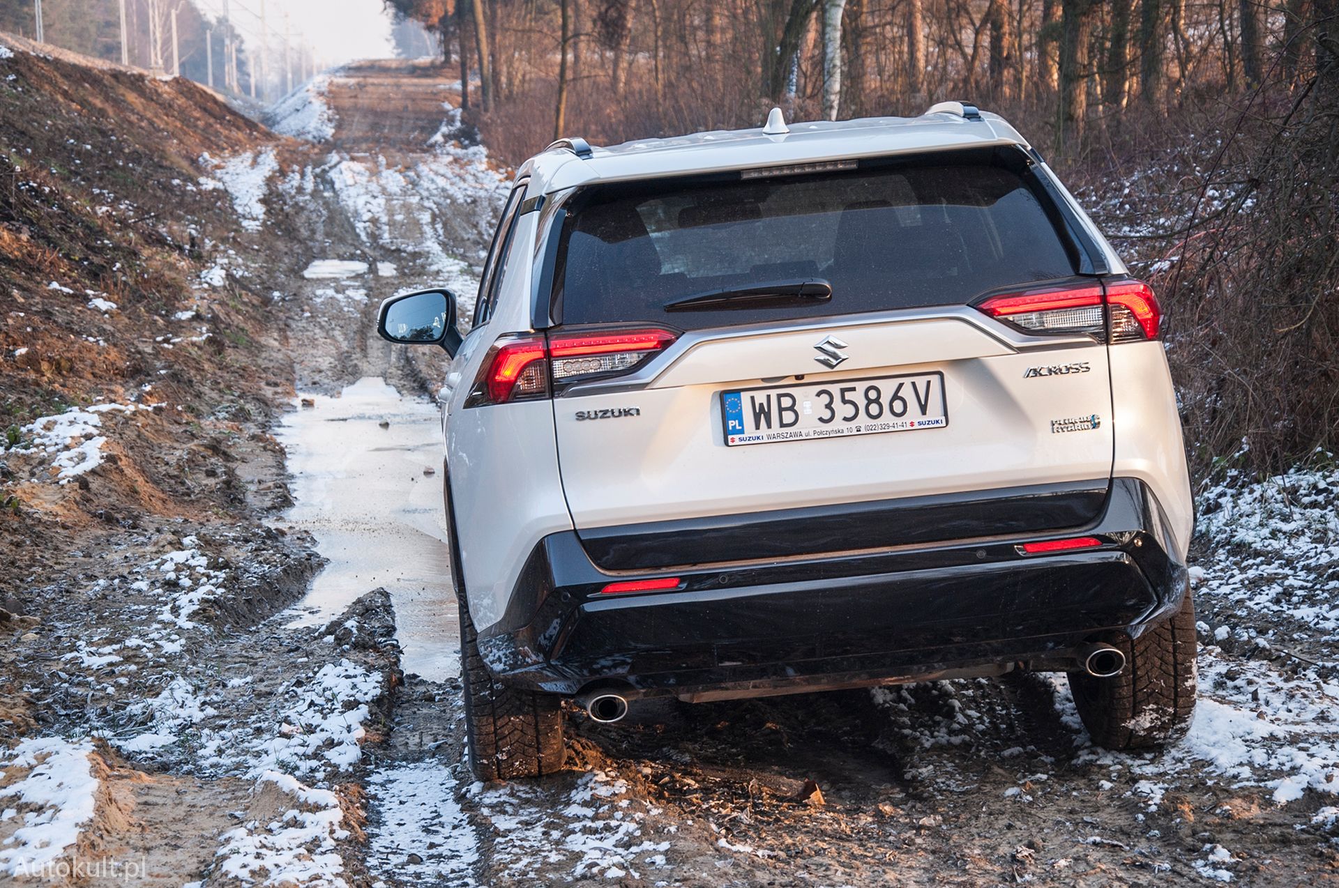 Suzuki Across PHEV (2021)