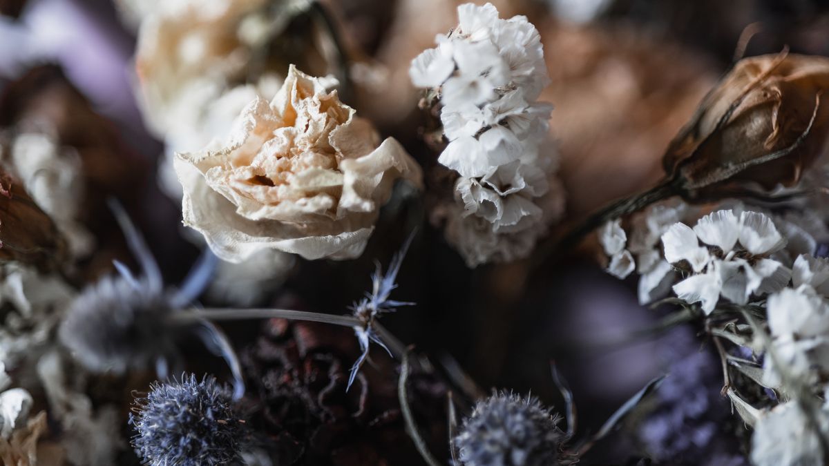 kwiat, makro, bliska, lodu, jedzenie, naturalny, suszone, kwiaty, w wazonie, martwa natura