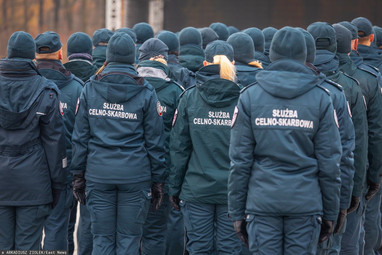 Nielegalnie importowali drewno z Rosji. Tak obchodzili sankcje