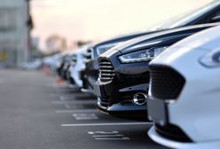 Olbrzymie podwyżki za parkowanie. Tak miasto walczy z nadmiarem aut