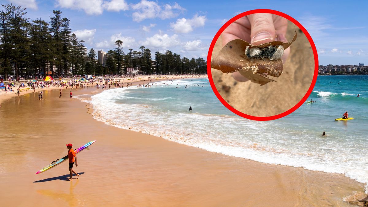 Kule znalezione na australijskich plażach mają różne rozmiary 