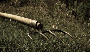 Lubelskie. Nieszczęśliwy wypadek: widły jak bumerang