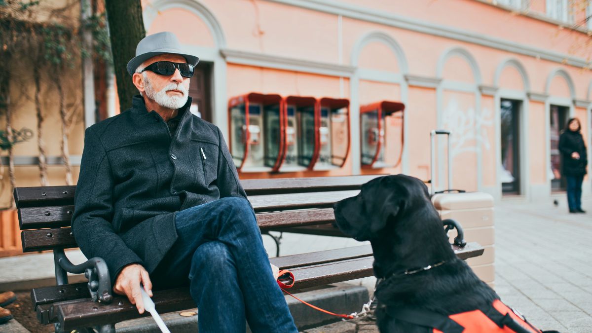 Ten niewidomy oszust tylko blefował 