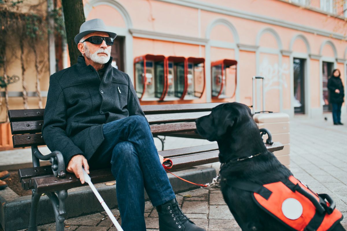 Od 34 lat udawał niewidomego. Zgubił go bankomat