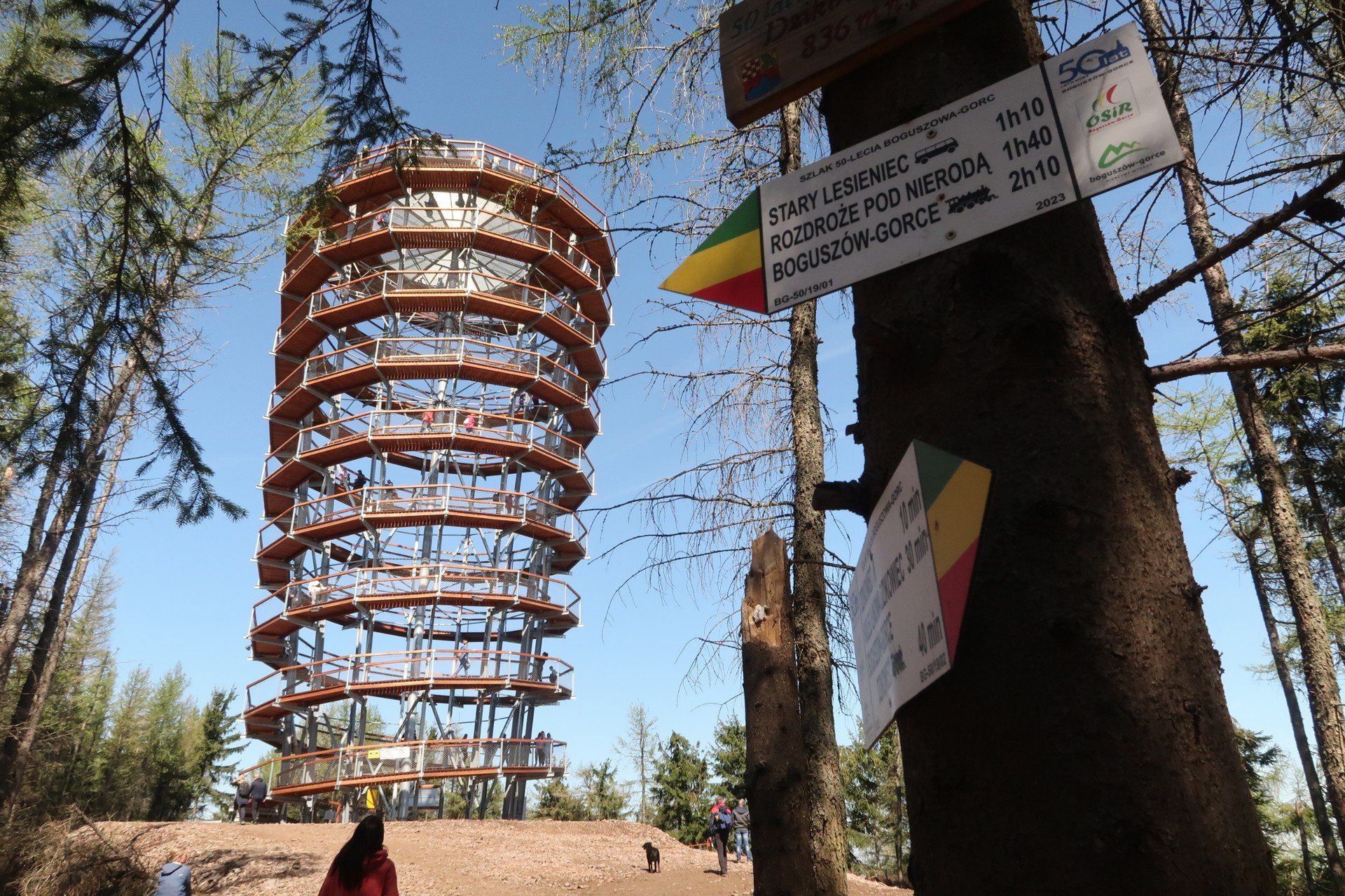 Nowa wieża widokowa na Dzikowcu