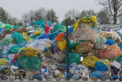 Martwy noworodek na wysypisku. Jest decyzja prokuratury