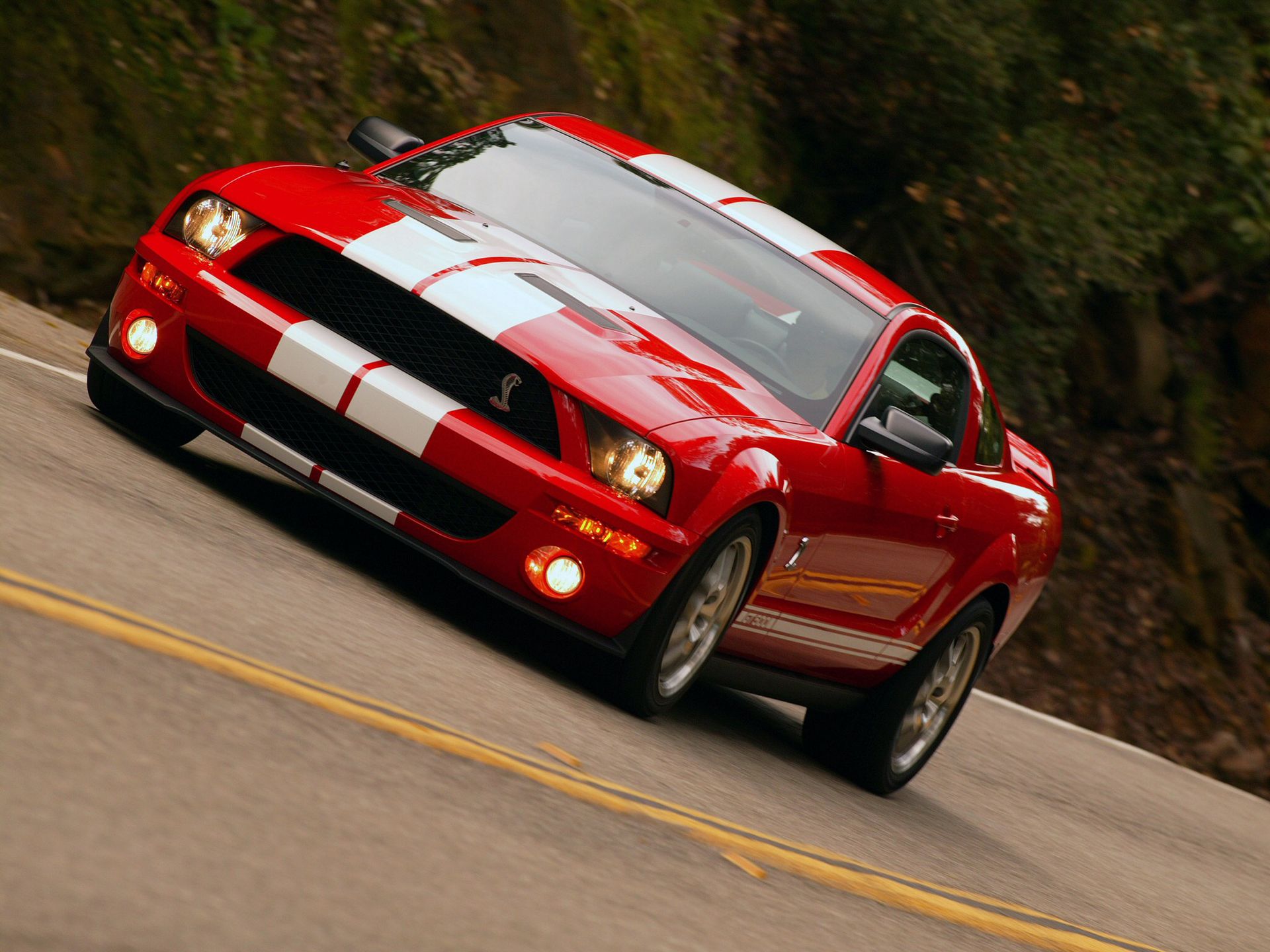 Shelby Ford Mustang