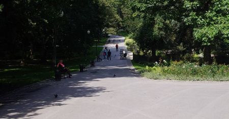 Straż Miejska nie wystawi już mandatu za wejście z psem do Ogrodu Saskiego