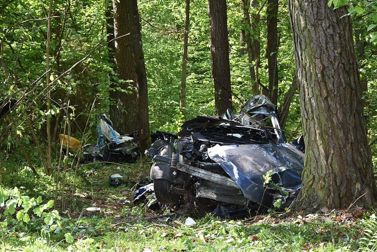 Zahajki. Tragedia na leśnej drodze