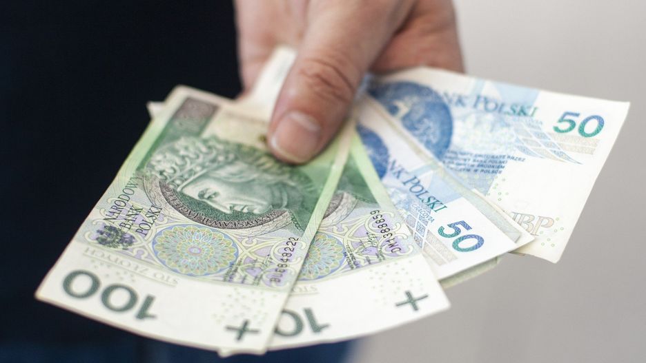 Close-up of hand showing Polish banknotes