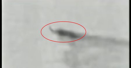 Tajemnicza bestia z Afryki. Mówili o nim ostatni żyjący dinozaur