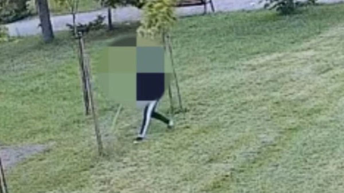 Atak na drzewko. Tak działał wandal w Żurominie